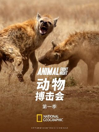 嫦娥电视剧姚笛演员冯林
