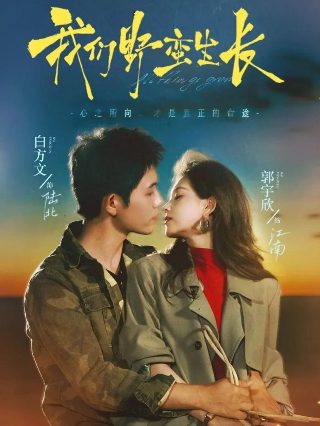 相逢时节百科百度网盘下载资源