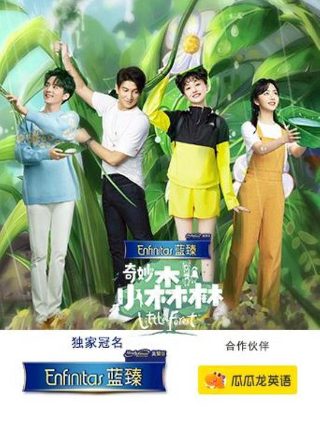 《昨夜星辰》歌词解析图片大全集