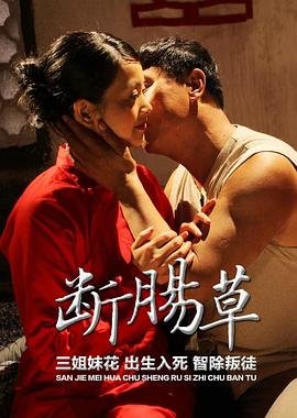 刘三姐对歌几天几夜