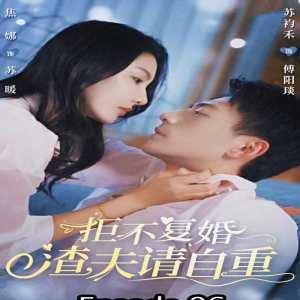 梅花古诗意思是什么解释的呢视频