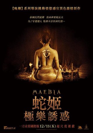 复婚电视剧大结局视频