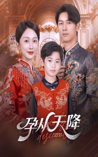 盛先生的花儿免费现看