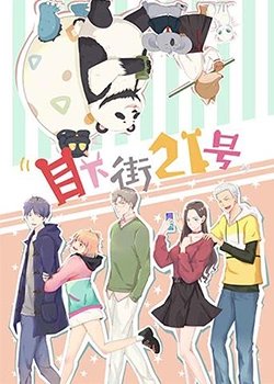 电影《杜丽娘》剧情介绍视频播放全集免费观看