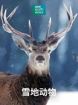牧神记电视剧76集免费播放在线观看下载安装