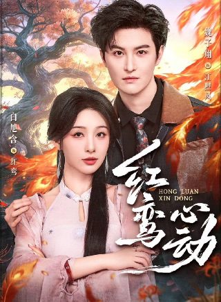 少年骇客第4季中文版免费观看