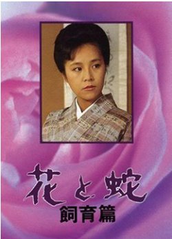 《好想做一次》结局200字左右怎么写的呀作文三年级