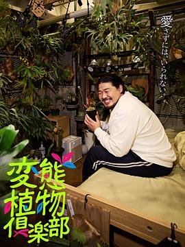 电视剧深宫谍影全集