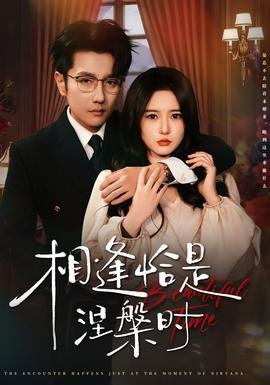 追龙粤语在线完整版