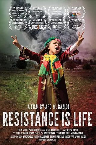 大宋少年志电视剧在线观看完整版