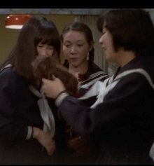 狂赌之渊电视剧全集在线观看高清