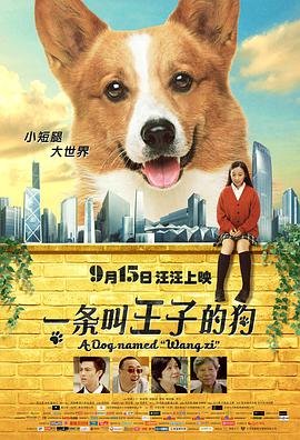 梦想召唤王2第51集免费观看
