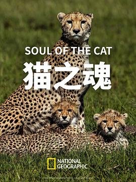 电影《美景之屋2》的上映时间表图片大全高清下载