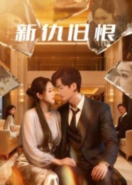 傻瓜歌词是什么歌名