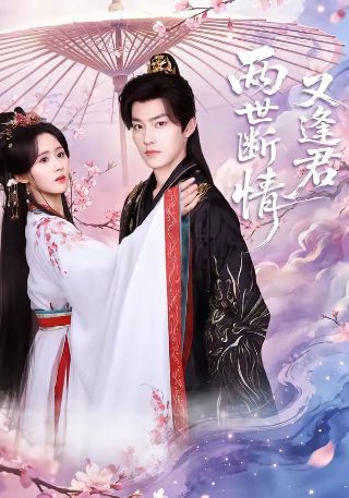 楚汉传奇79集免费观看视频