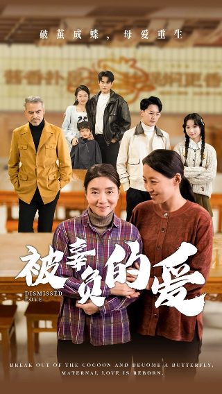 国家使命电视剧全集29