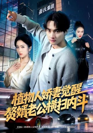 企鹅家族第一季全集免费播放下载安装