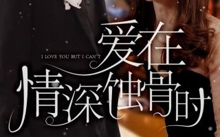 火线救妻迅雷下载百度云资源