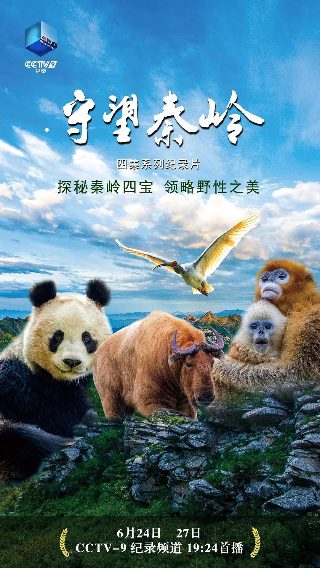 武庚纪第4季28集在线观看视频