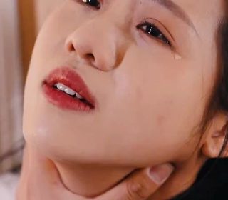 你好星期六综艺免费观看