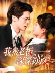 政委电视剧全集介绍