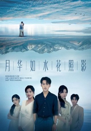 夜莺电视剧在线观看全集