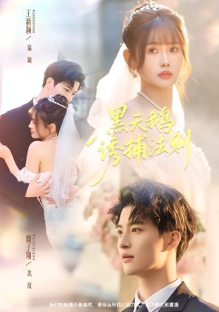 无尽的尽头电视剧大结局是什么样的