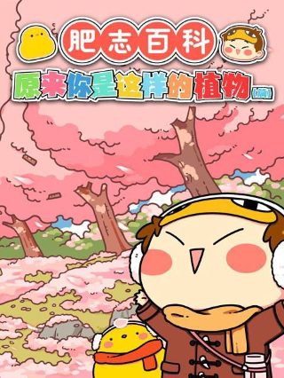 阿里神灯的故事