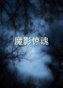 王府宠妾百度网盘