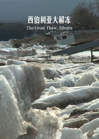《食人猪》经典片段视频在线观看