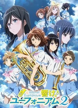 黑蜘蛛图片