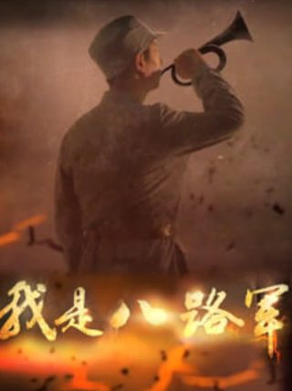 电影《精武英雄》全集在线观看免费高清中文版