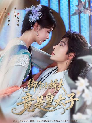 《鸽子》歌曲背后的故事简介内容概括