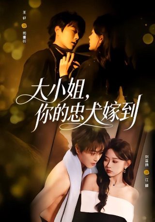 马大帅第1部在线免费观看