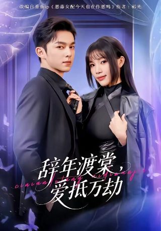 爱与黑暗的故事歌词