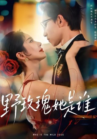 《陈情令》全部歌曲视频完整版下载免费观看