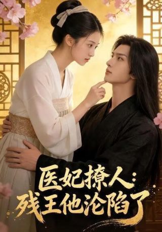 中国影像方志陕西篇蒲城
