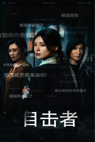 云霄之上电视剧下载