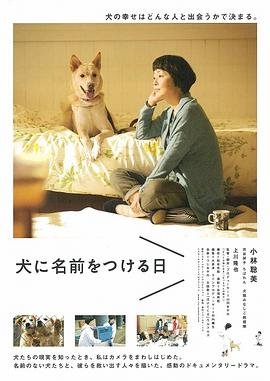大盛魁全集