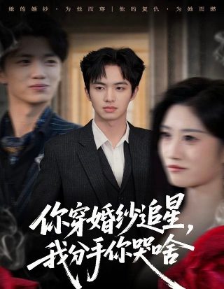 2021打黑风暴电视剧全集免费观看