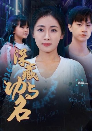 龙猫价格多少钱一只