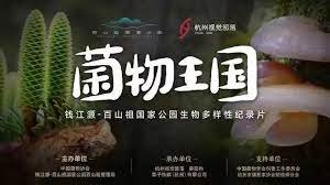 告白内容简介50字左右怎么写好