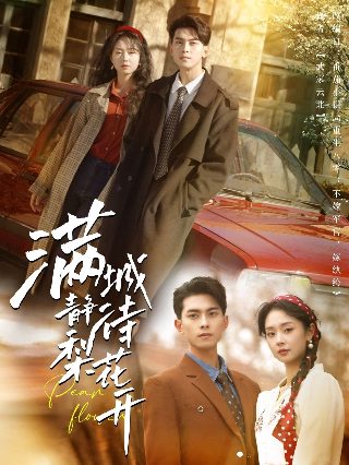 情敌蜜月电视剧剧情介绍全集免费观看