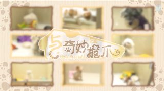 赌彩黑名单电影中的华人警察