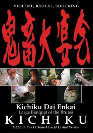 我爱张宝利结局