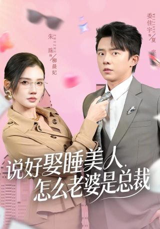 李卫当官3演员表全部
