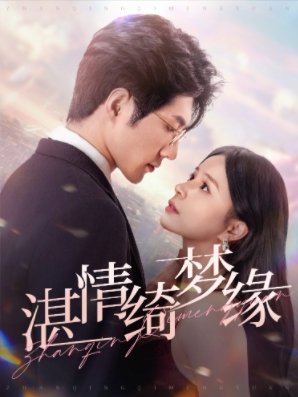 金衣女人剧情介绍大结局是什么样的