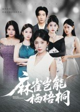 好先生在线观看免费高清版电影