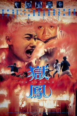 跨越彩虹主演是谁呀