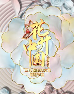 神探飞机头1百度百科